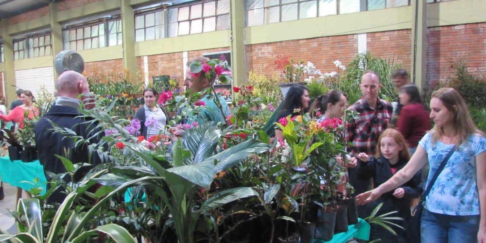 Pavilhão Da Floricultura Impressiona No 31° Hortigranjeiros