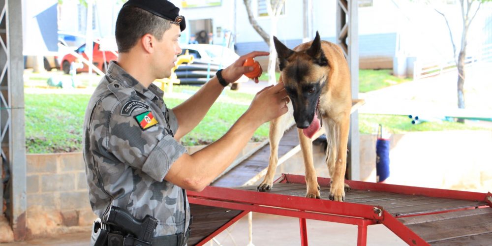 Brigada Militar Encantou Visitantes Com A Apresentação De Cães